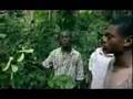Des forêts tropicales au brainforest - L'iboga