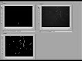 Video showing Larry's microtubule tracking software.