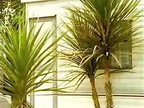 Jonathan Meades :: Full Metal ...