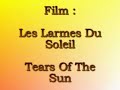 fanvid = movie 