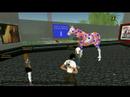 horse-and-health-event-op-secondlife.html