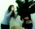 3estolisma t xmas tree tis ta3is! lool
