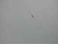 Lodrino Air Show 2006 - Spitfire e Mustang