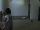Dancing Like Mommy Dancing Like Mommy