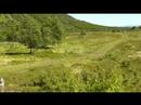 Ulv�yrittet 2008