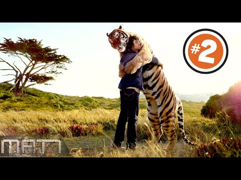 7 HEARTWARMING ANIMAL REUNIONS CAUGHT ON CAMERA - Part 2