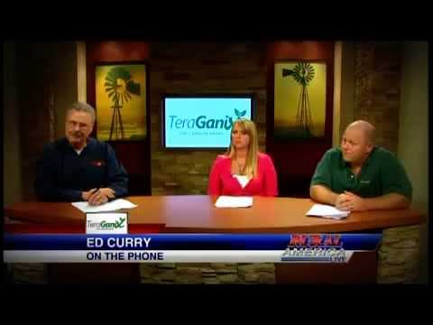 how to grow effective microorganisms