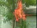 Fire Training Gone Bad