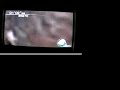 Resident Evil 4 Mercenaries Five Star *****