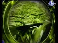 clip: marins perdus de ev !