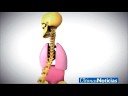ANATOMICA - ULTIMAS NOTICIAS