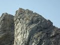 klippenspringen-in-rhodosfaliraki.html