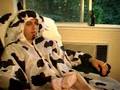 Happy-Cows