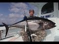 Видео - Ловля тунца в Северной Каролине.