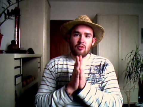 Der Drachenbaum fürs Zimmer