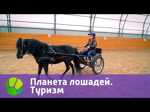 Планета лошадей. Туризм