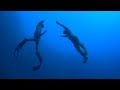 Martin Stepanek - Peso Constante sin Aletas - 83mts