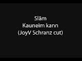 Sl�m - Kauneim Kann (JoyV Schrnaz cut)