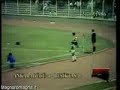 Referee Referee