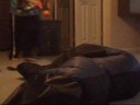 beating up Homie B (new and improved) beating up Homie B (new and improved)