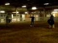 151st Crapaud Tournament Finals Fight 2 151st Crapaud Tournament Finals Fight 2