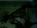 VID 00033-20090812-1800.3GP