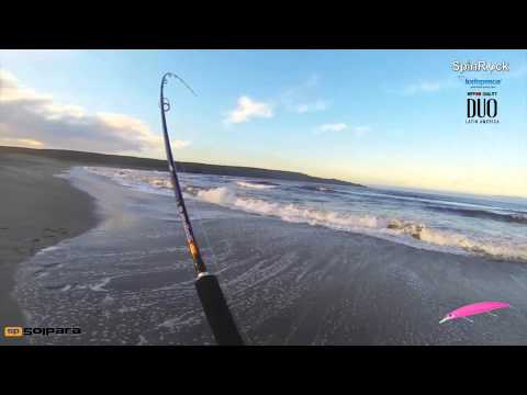 Pesca de Corvina con equipo ligero, Team SpinRock Chile por N. Torrejón