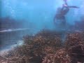¡Hazte oír!  Frenemos el cambio climático