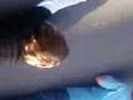 LuCaS rEcOmMeNcE aVeC c PotE