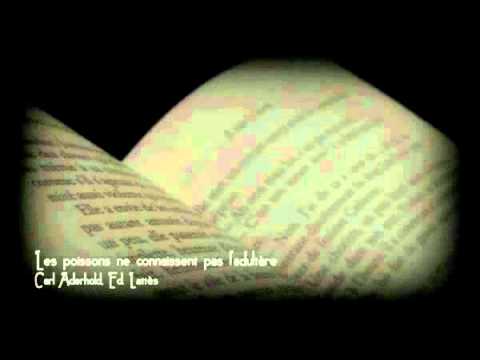 Vid�o de Carl Aderhold