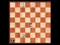 Endgame Study: Saavedra Position