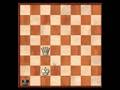 Endgame Study: Saavedra Position