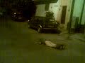 Nalguitas al suelo28102007(007)