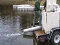 Walleye Stocking_0001.wmv