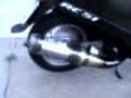 Honda Elite 50 with BIG BRASS BALLS..