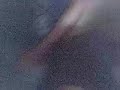 Thumbnail #1