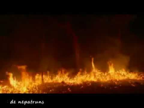 Ver Video