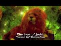 Christmas Trees - Lion of Judah.mov