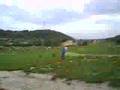 videos de cabras en cubells