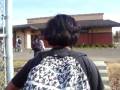 videos de My School