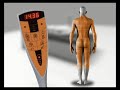 Wellsystem Description www.fitequip.ch