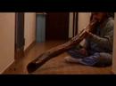 didjeridoo.html