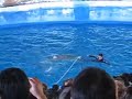 Matias en barcelona ii