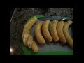 La Torta de Plátano