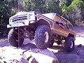 Longhorn Offroad Waggy Bob\