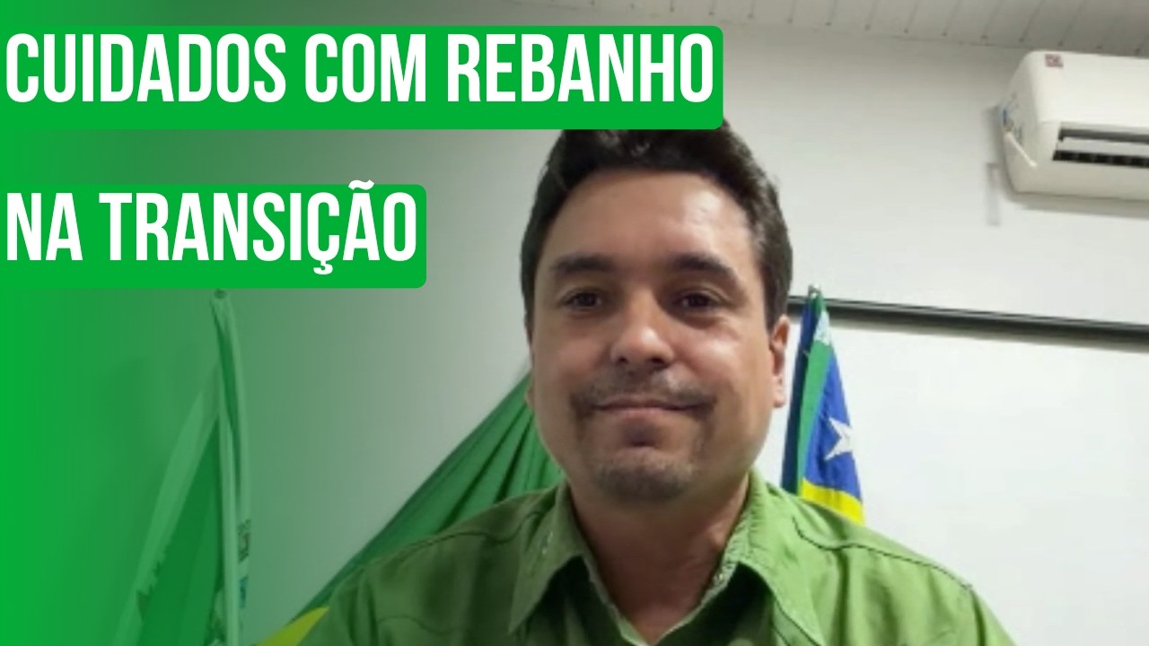 Cuidados com rebanho na transição
