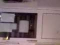 videos de little polish boy  D