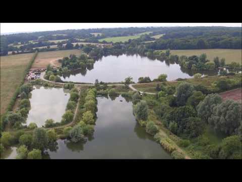 XL Carp Video