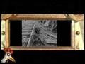 Civili Tetes Raides