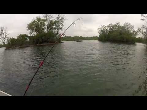 Giant Illinois Smallmouth Bass
